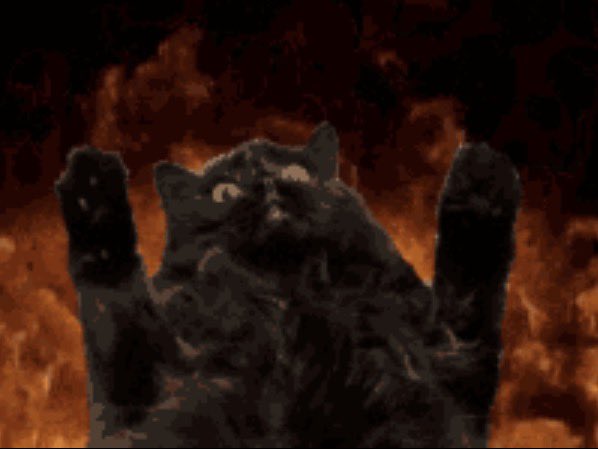 cZerCats's tweet photo. Lad be cookin #WizardsSMP
(Credit to @CalicoRiley_ for the cat pic) https://t.co/aUsnxRpFg0