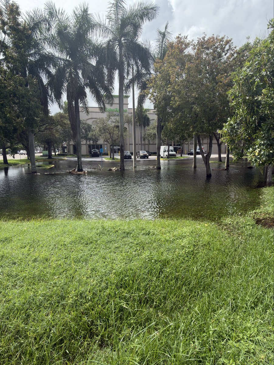 irentdumpsters's tweet photo. Parking lot in Fort Lauderdale turned into a lake

Just caught a bass https://t.co/cjGrF028Sz