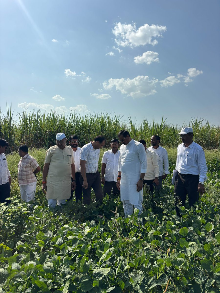MlaPadvi's tweet photo. काल मुख्यमंत्री देवेंद्र फडणवीस साहेबांकडे मतदारसंघातील दुष्काळी परिस्थितीची व्यथा मांडल्यानंतर, आज आ.राजेशदादा पाडवी साहेबांनी थेट शेतकऱ्यांच्या बांधावर पोहोचून पिकांची पाहणी केली.
.
.
#farmer #maharshtra https://t.co/lACeXzwun9