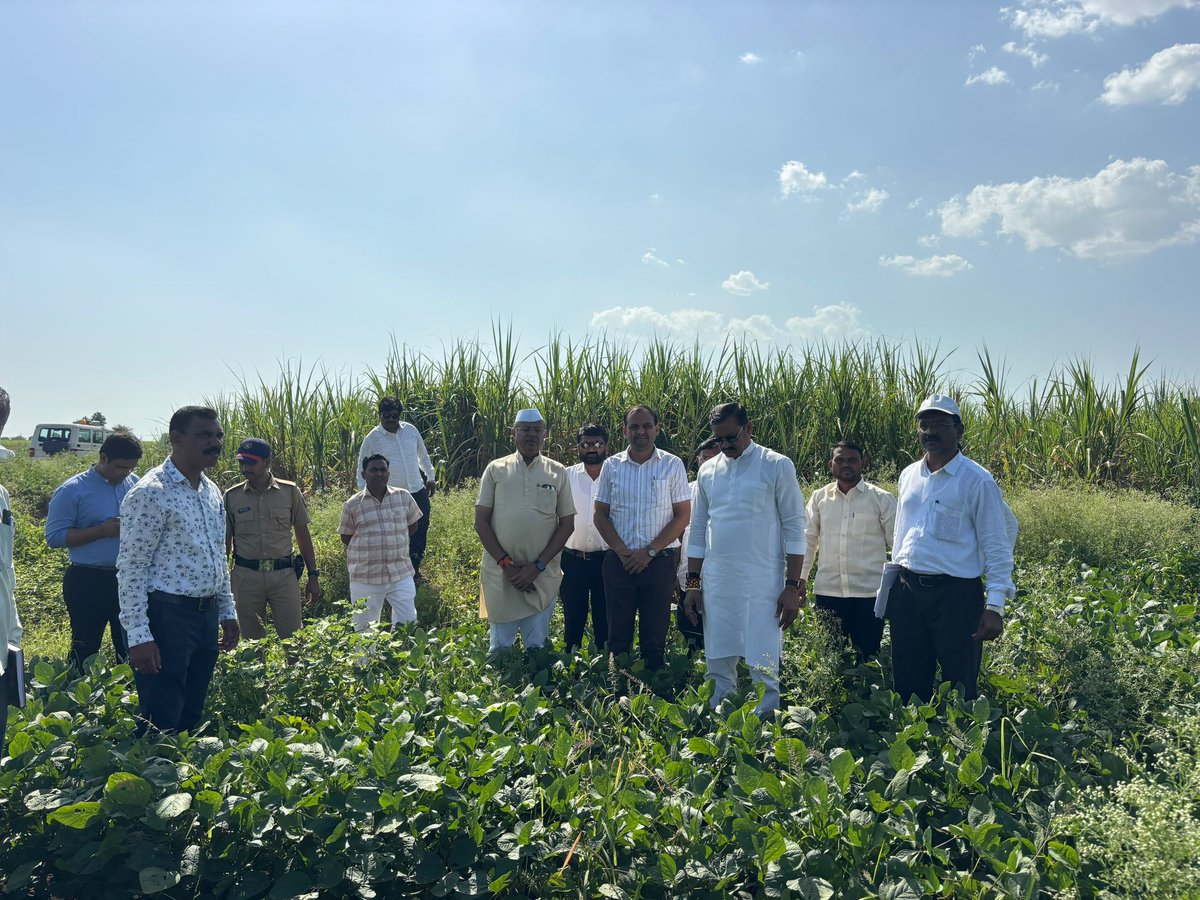 MlaPadvi's tweet photo. काल मुख्यमंत्री देवेंद्र फडणवीस साहेबांकडे मतदारसंघातील दुष्काळी परिस्थितीची व्यथा मांडल्यानंतर, आज आ.राजेशदादा पाडवी साहेबांनी थेट शेतकऱ्यांच्या बांधावर पोहोचून पिकांची पाहणी केली.
.
.
#farmer #maharshtra https://t.co/lACeXzwun9