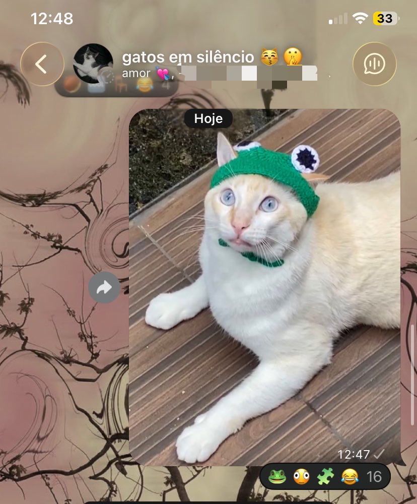 byulcetuda's tweet photo. ja fiz minha contribuição pro grupo de gatos em silêncio https://t.co/4lxDDwBHqG