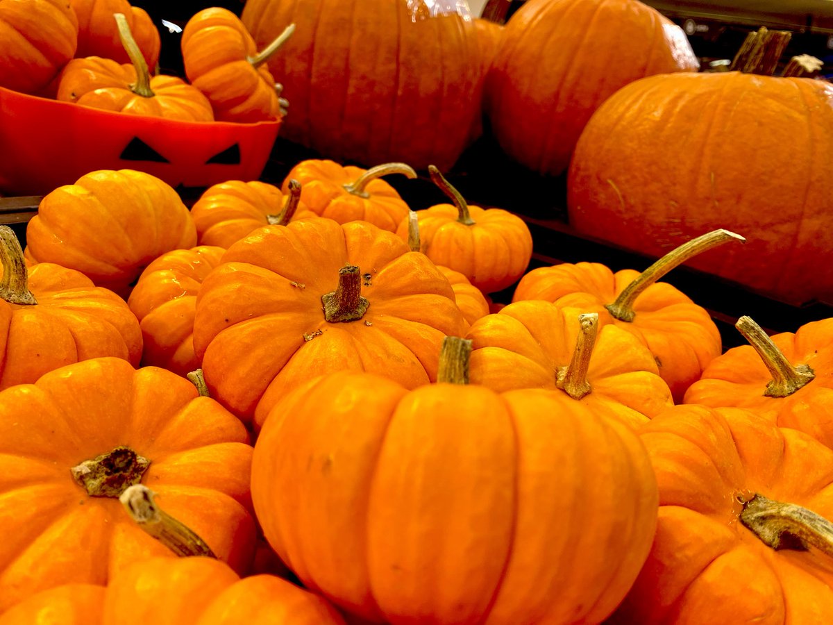 lasiguacafe's tweet photo. Nos estamos preparando para tener nuestro delicioso postre de calabaza para el fin de semana. 
Recorda que es postre de temporada y  se una vez la calabaza se acabe https://t.co/MgM0VuGWOr
