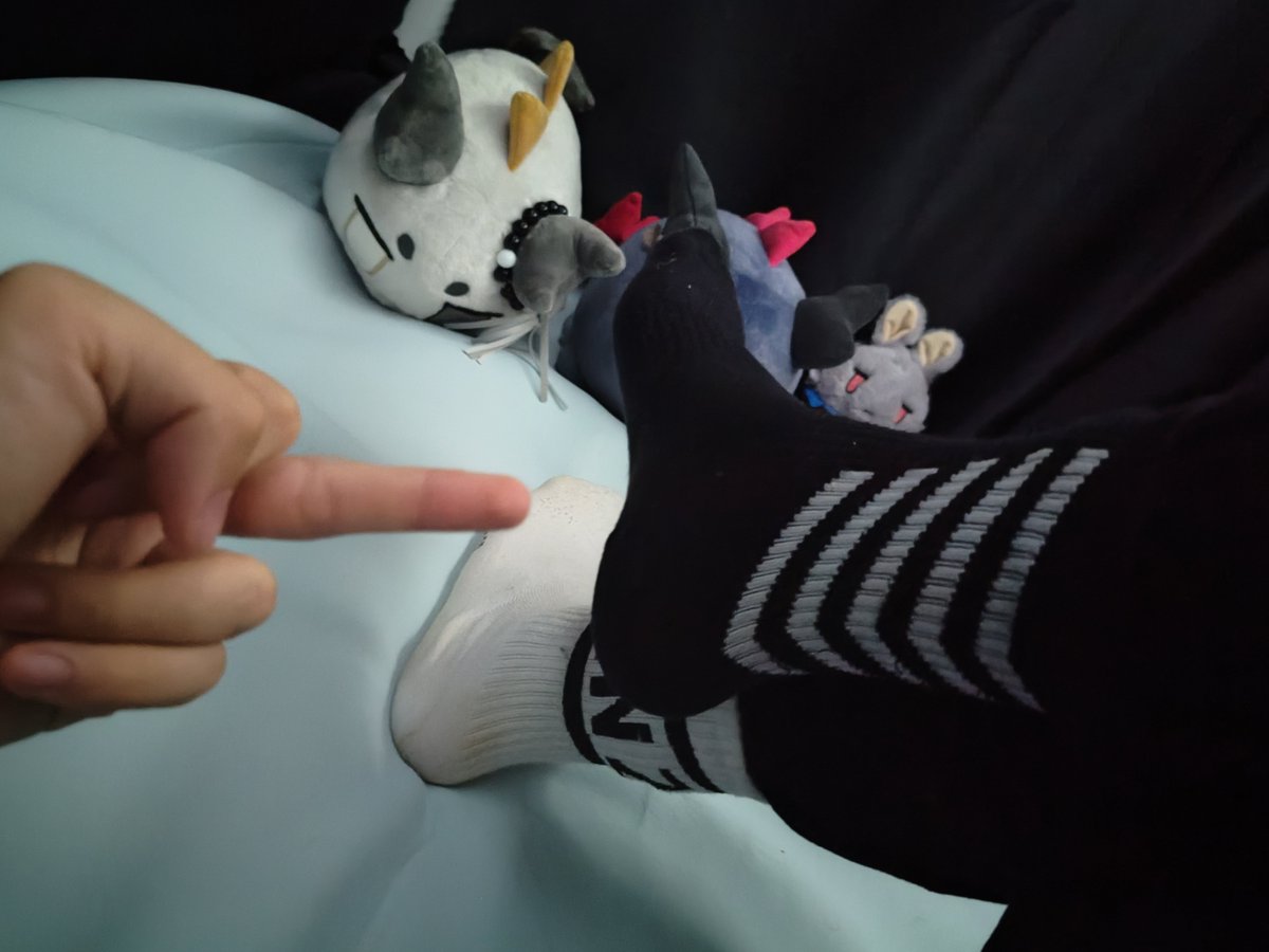 shrzz1110's tweet photo. 乖狗，快闻着爹的袜子，看着爹的中指，把下面夹到爹的黑白袜让爹狠狠磨一磨，让爹的脚趾夹着你的鼻子慢慢舔
#伪s #直男 #黑袜 #白袜 #小狗 #无脑
#踩 #gooner #调教 #1s #助眠 https://t.co/zqfimBgGN1