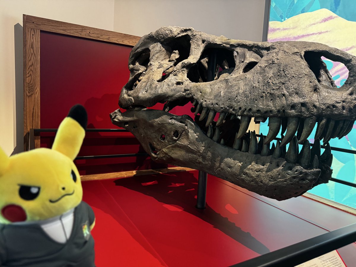 RealFrankJ's tweet photo. Traveling incognito today. The disguise is flawless.

My associate is less subtle.

A visit to the Pokémon Fossil Museum seemed appropriate. One should always study the remains of those who failed to evolve with the times.

-G
#TeamRocket #Pokemon #FieldMuseum https://t.co/MRihZpRhb2