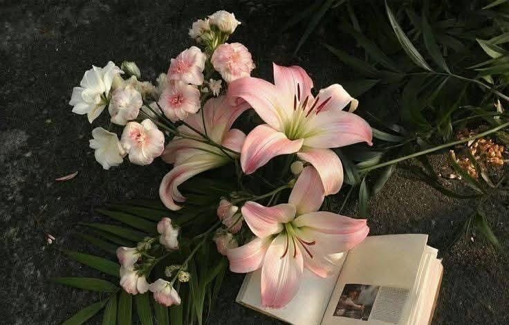 Arooba707's tweet photo. *_اپنا کردار  اپنا اندازِ گفتگو اور لوگوں سے ملاقات کرنا، اس قدر خوبصورت بنا لیجئے کہ، جب کوئی آپ کو دیکھے، سنے، اور ملے تو، آپ کے جیسا بننـے کی تمنا کرے🌹🕯️_* https://t.co/eAPwD8KwCj