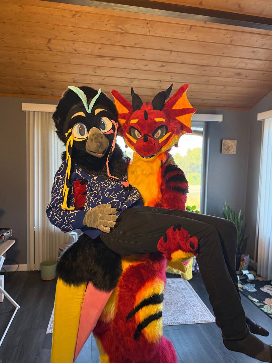 GemelliBird's tweet photo. Happy Fuck a Bird Friday. I think @CavatappiPog got the memo cause he is carrying me off to somewhere private. 

#FursuitFriday #YouCanJustPickUpBirds https://t.co/mlvACqzJwS