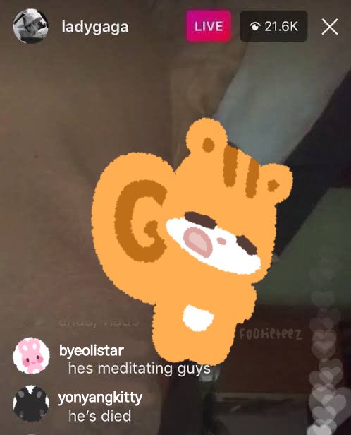 footieteez's tweet photo. he’s meditating guys https://t.co/wvgMU6oNk4