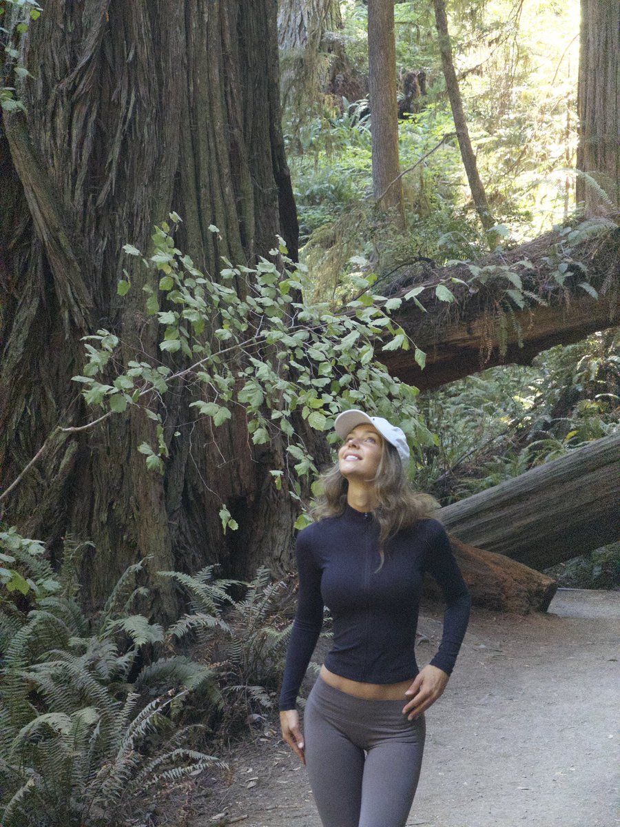 rachelc00k's tweet photo. these trees big enough? https://t.co/cCHS08YJuc