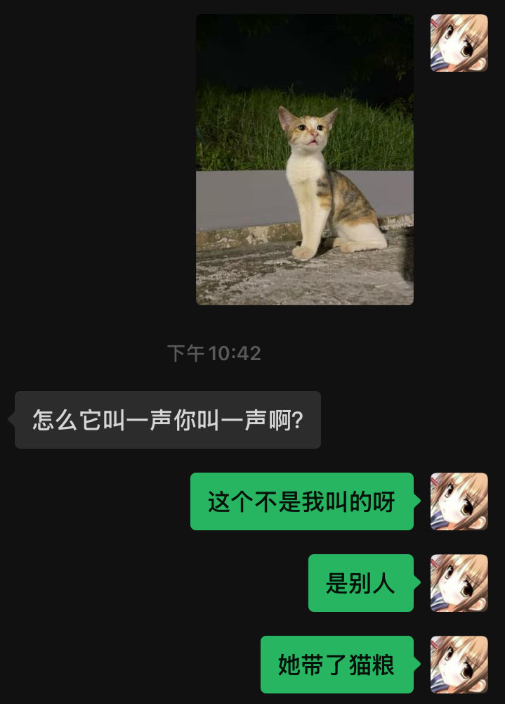 Bunnocturne's tweet photo. 这是一个笨蛋 https://t.co/iqHPyQaMpP