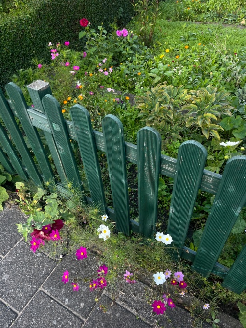 an0ekx's tweet photo. Early autumn 💐🌸🌻 https://t.co/O2hJ59aiLF