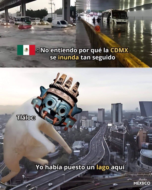ymuchosmemes's tweet photo. https://t.co/ua4pWo1ruQ