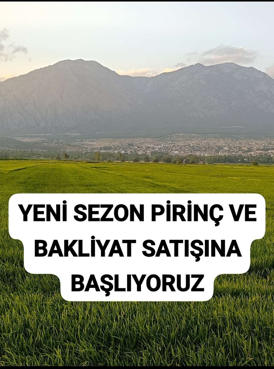 Kargiyoresel's tweet photo. Türkiye'nin en lezzetli ve kaliteli pilavlık pirinçleri hasat ediliyor. Böyle lezzetli pilav yemedim demek isteyenler bize ulaşın. Ayrıca pişimi ve lezzeti güzel yerli bakliyatlarımızda satışta. Deneyin farkı göreceksiniz. Tüm Türkiye'ye ücretsiz kapıya teslim. 

0 555 005 05 15 https://t.co/t8sRRnP2LV