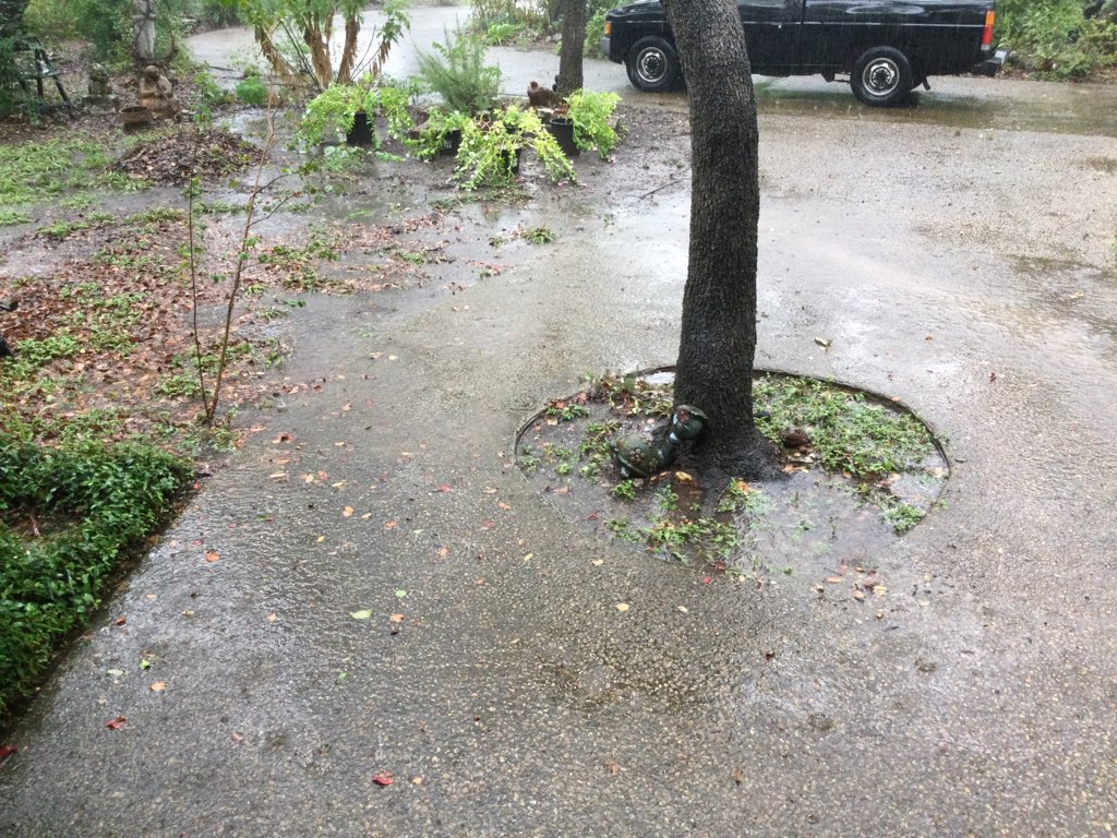 BaumannDivision's tweet photo. More rain today !!! https://t.co/aiVveqDQcq