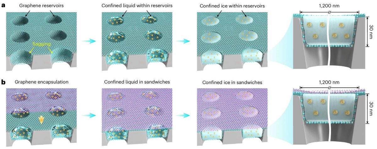 naturemethods's tweet photo. Graphene reservoirs formed over perforated support films precisely control ice thickness during cryo-EM sample preparation.

https://t.co/HD1WEoTesW https://t.co/IyM7xqR9Am