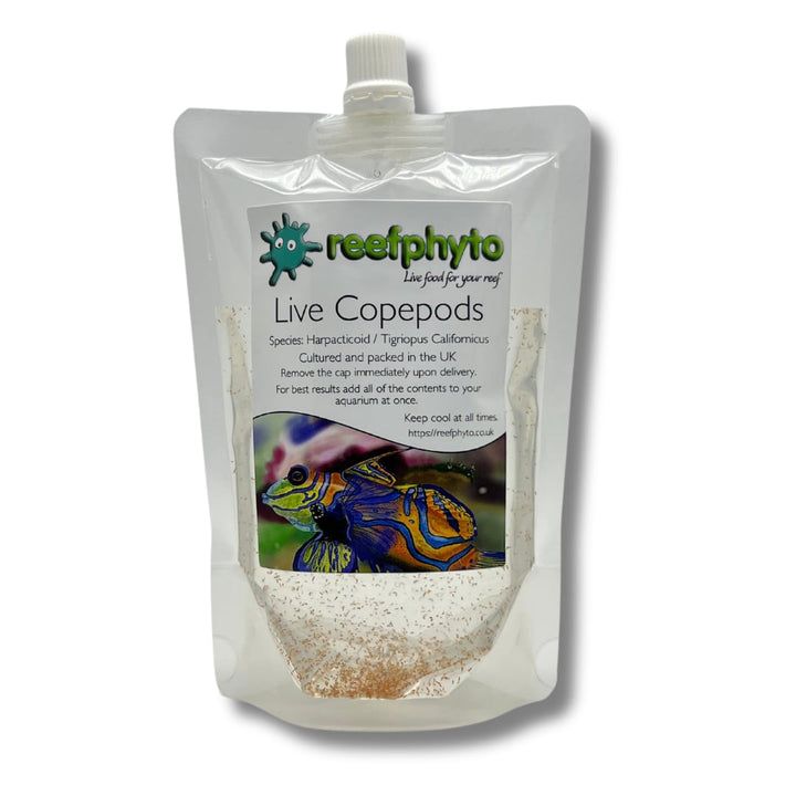 Reefphyto's tweet photo. Adding copepods after your fish is doing it the hard way. Add them once the cycle finishes and before the first fish, and they get weeks to breed with nothing hunting them. Timing, amounts and a week by week plan: https://t.co/e6hkQUmLC6 #reefkeeping #copepods #reefphyto https://t.co/nUH4IyqeLS