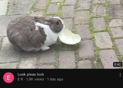 07_rfb's tweet photo. HOW IT FEELS https://t.co/CJtCWSq0ot