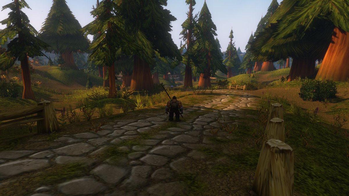_Dieg8_'s tweet photo. Estoy disfrutando muchísimo la beta del Wow Forever, sin quemarla y poco a poco. Recordando lo que era levear con otra gente que te encuentras por el camino y ayudándonos unos a otros, cosa que parece que se perdió poco a poco en el retail. https://t.co/0w2rcXXYsh