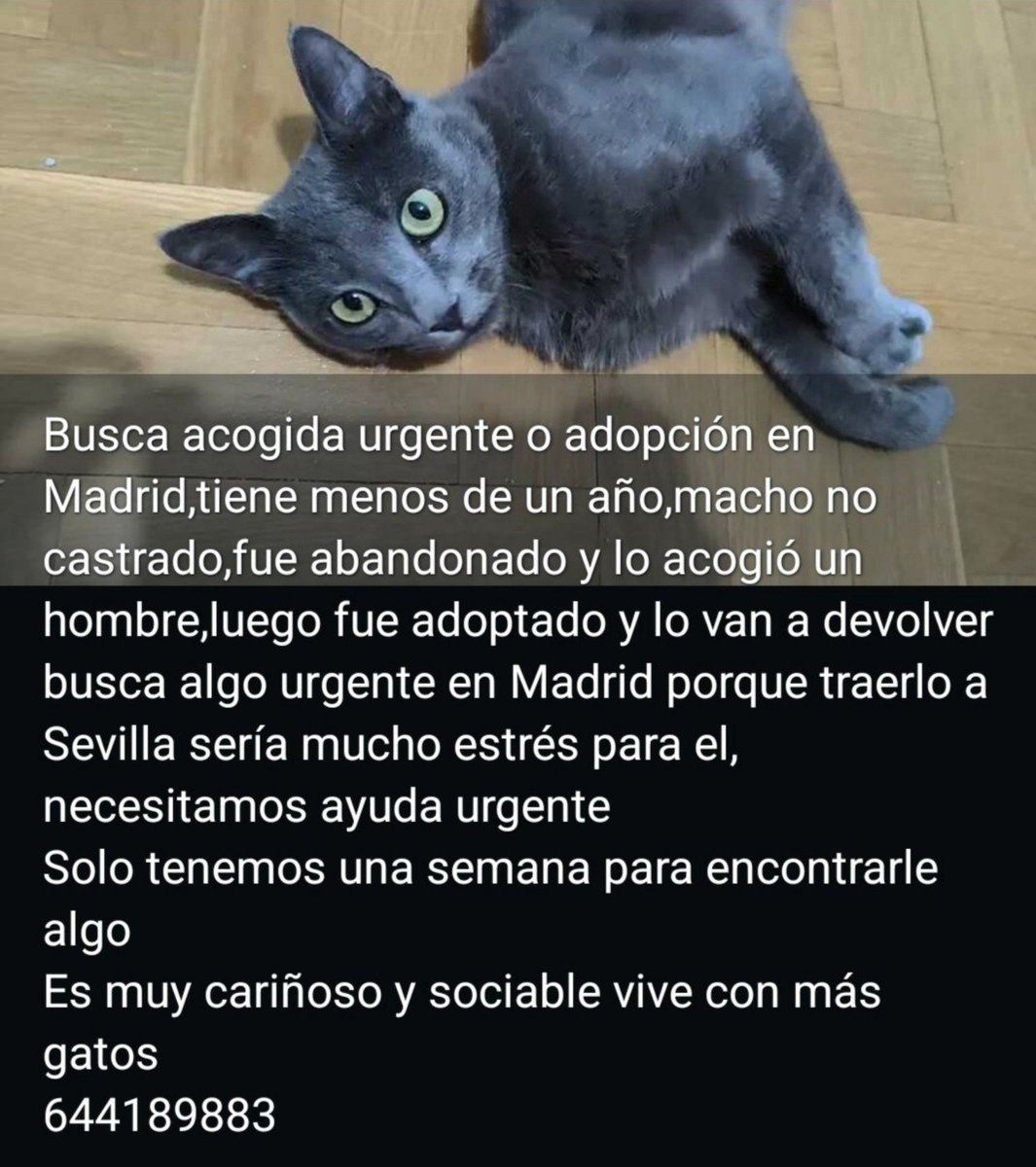 Erta2017's tweet photo. #Madrid

          Mirad esta cosita 

La han devuelto después de haber hecho muchos km.

¿A quien le importan su miedo, su estrés  y en el fondo,  el rechazo  de una gente que no que quiere.
Tel☎️👇🏼 https://t.co/WGKkmqdQuo