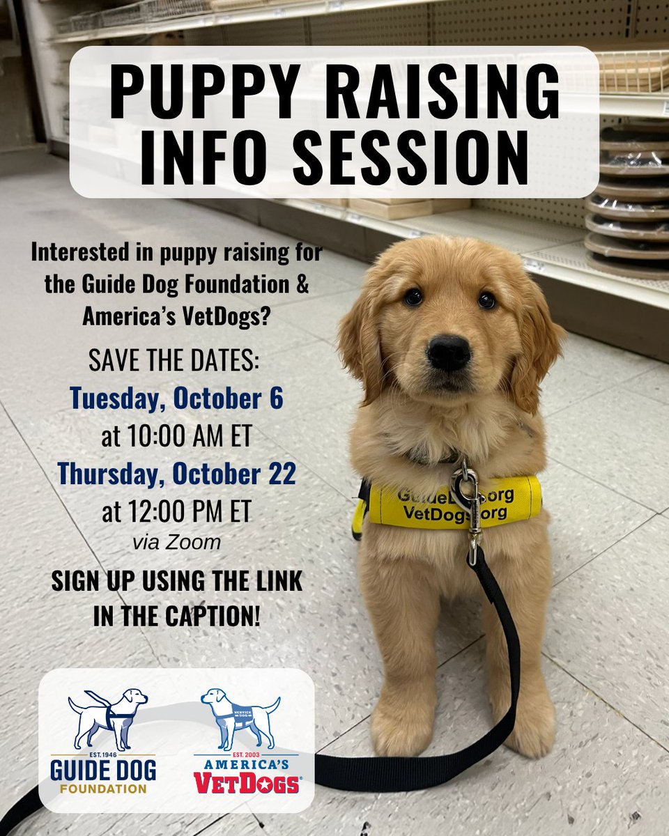 GuideDogFdn's tweet photo. Could puppy raising be your next adventure? 🦮

Learn about raising a future guide or service dog for the Guide Dog Foundation and America’s VetDogs at a Zoom info session!

Oct. 6: 10 a.m. ET
Oct. 22: Noon ET

Register: https://t.co/OhEnqMfBok https://t.co/Eo0plwsW2Z