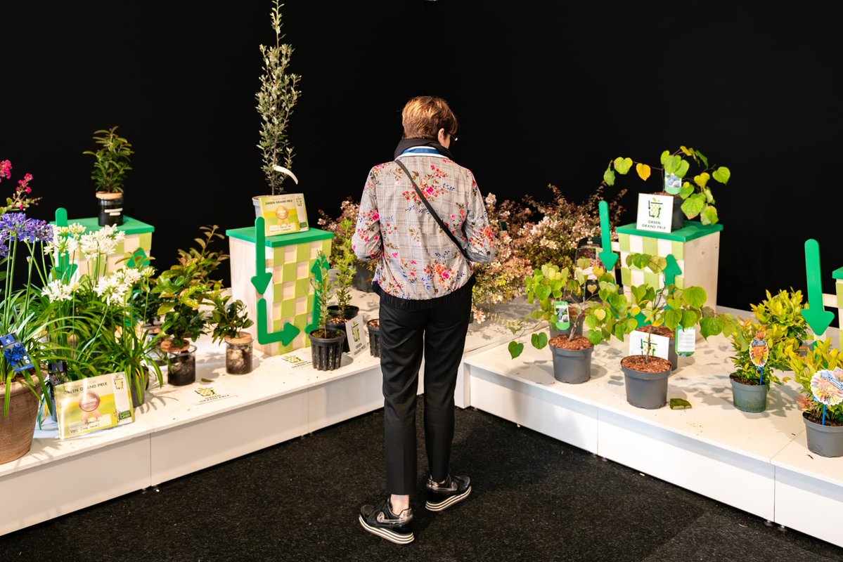 grootgroenplus's tweet photo. ❗ De inschrijvingen zijn geopend!

Vanaf vandaag kan iedereen zich inschrijven voor GrootGroenPlus 2027.

Deelnemers hebben inmiddels per e-mail een snelkoppeling naar het inschrijfformulier ontvangen. Je kunt je ook rechtstreeks inschrijven via https://t.co/hpYpVnBL10. https://t.co/hmbReUM6Zv