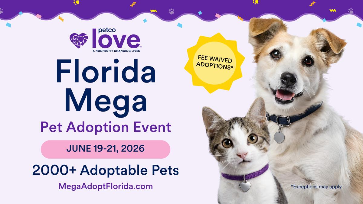 DianeLegacy1's tweet photo. This weekend could change a pet’s life. 🐶🐱❤️Pet adoption events across the U.S. are helping dogs and cats find loving homes, with some shelters offering fee assistance and starter kits.Sometimes the best thing you bring home is a new best friend. 🐾Dog or cat?#PetAdoption https://t.co/x3khawiW3a