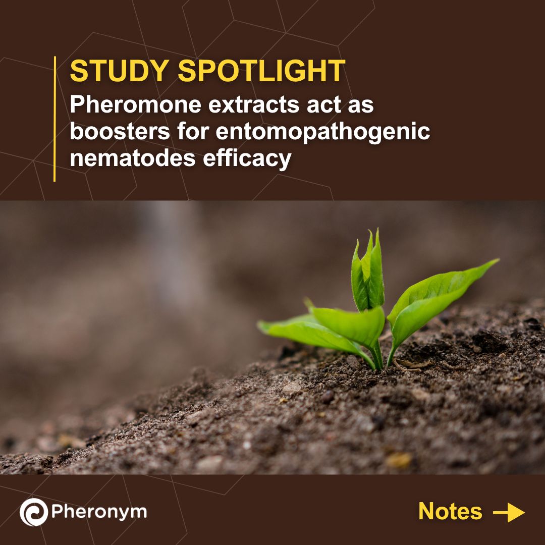 pheronym's tweet photo. STUDY SPOTLIGHT 🌟 Pheromone extracts act as boosters for entomopathogenic nematodes efficacy

🔗 Check out the full study 👉 https://t.co/mTLi88gDXW

#nematodes #biocontrol #pheromones https://t.co/xAZi3tbX3W