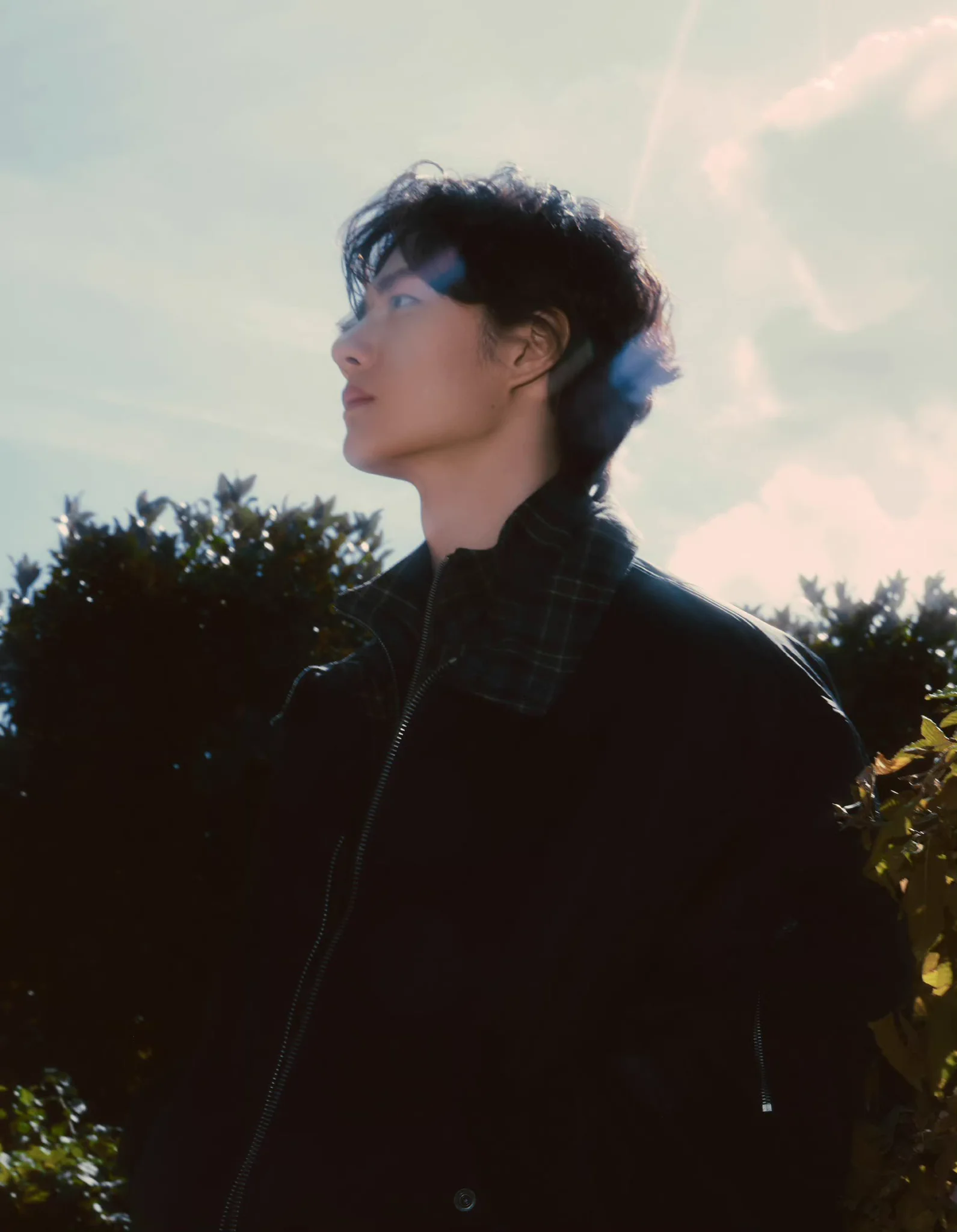 ✿˙❥˙ZhanBo˙❥˙✿ on X: 