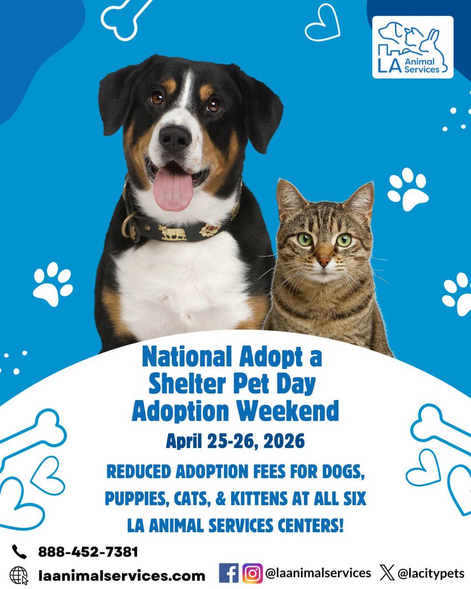 DianeLegacy1's tweet photo. This weekend could change a pet’s life. 🐶🐱❤️Pet adoption events across the U.S. are helping dogs and cats find loving homes, with some shelters offering fee assistance and starter kits.Sometimes the best thing you bring home is a new best friend. 🐾Dog or cat?#PetAdoption https://t.co/x3khawiW3a