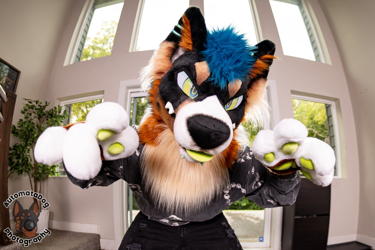 norfdog's tweet photo. Lookin for a small bite and you're lookin like the one 😈

#FursuitFriday
📸 @AutomataDog 
🪡 @MadeFurYou https://t.co/z7fm1D8gxN