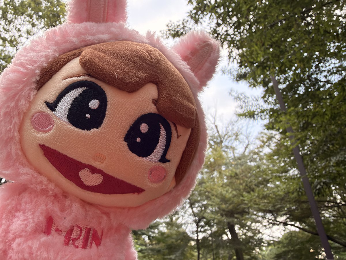 babochan2022's tweet photo. 今朝の朝活散歩スタート☀️
鳥さんいるかなー😊 https://t.co/nb4XyKLNve