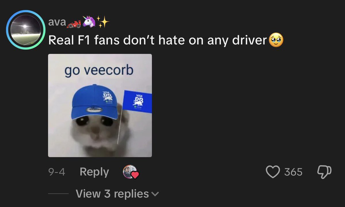 Heestroke's tweet photo. People on TikTok are fucking brain dead https://t.co/D3I54XBLp4