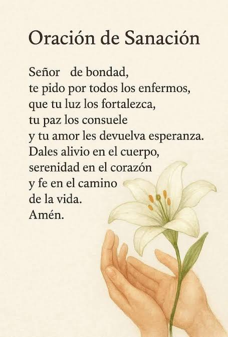 jorgefsv's tweet photo. @AngelesRendonM2 ¡Amén! https://t.co/Nh8Kr4tHnS