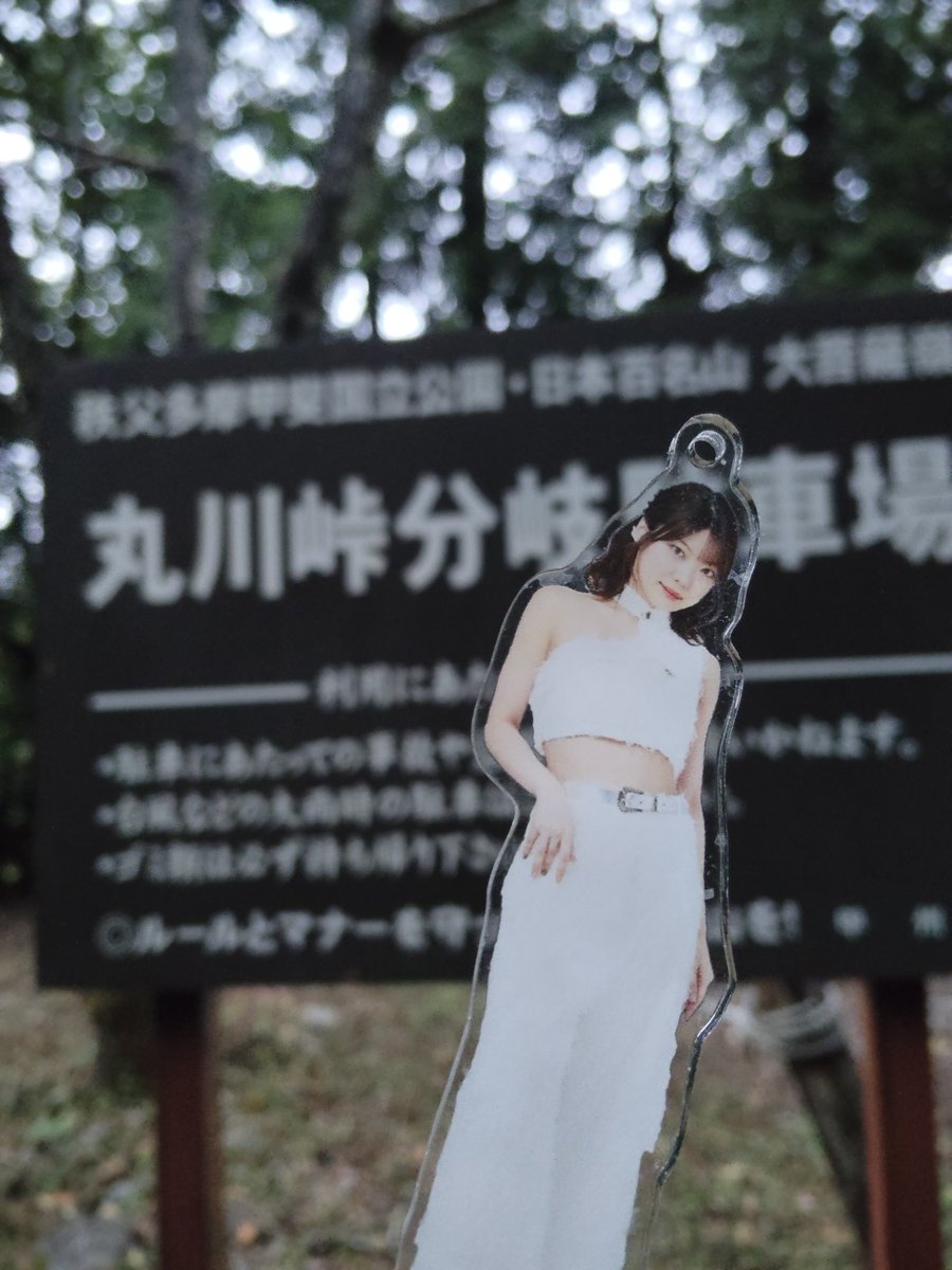 iwanabose's tweet photo. おはケロ🐸 https://t.co/Pp5Qk6S5eo