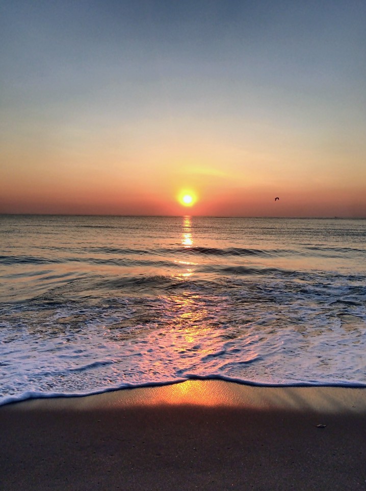 BocaRecreation's tweet photo. Before this weekend to an end, make some time to take a deep breath, soak in the beauty of our City, and welcome a new week full of possibility. ✨

📷Velvet Lombardo https://t.co/3akjFDGfqv
