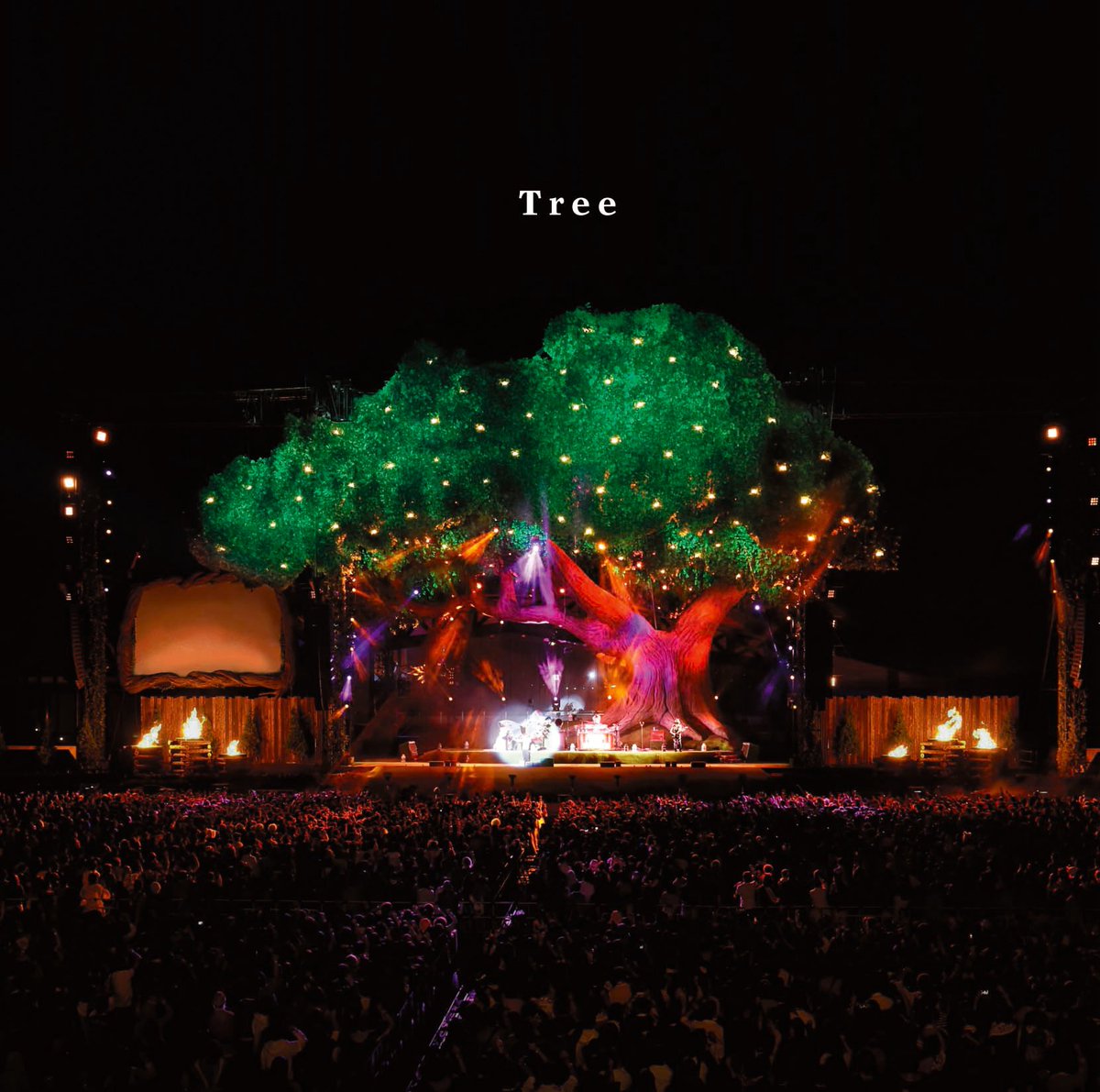 10MOURINHO15's tweet photo. もしかして：『Tree』 https://t.co/JpQ7dn9rwR