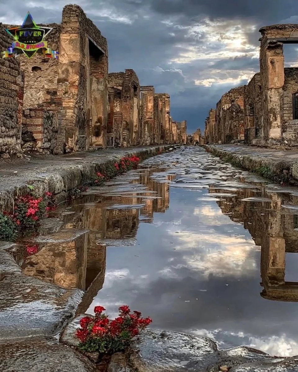amyheart13's tweet photo. Fotografo: @javialuminum 
Post del 10/06/2026, ore 09:00. Complimenti per aver condiviso con noi. In collaborazione con @bestitaliapics, @vivo_italia, @bestcampaniapics e @loves_united_italy. Non sono ammesse foto dal web o rubate. Repost gradito, https://t.co/1hUNEL6oG9