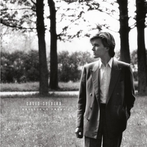 tkmttkmt's tweet photo. 私にとってDavid Sylvianとの決定的な出会いは『Brilliant Trees』。
タルコフスキーに捧げた「Nostalgia」にも心酔しましたし。タイトル曲「Brilliant Trees」でのJon Hassellの霧のようなトランペットと、坂本龍一のキーボードの絡み合いは、光射すような天上の響きで。
https://t.co/cbu1MpTupy https://t.co/7mlmeT9Ndh