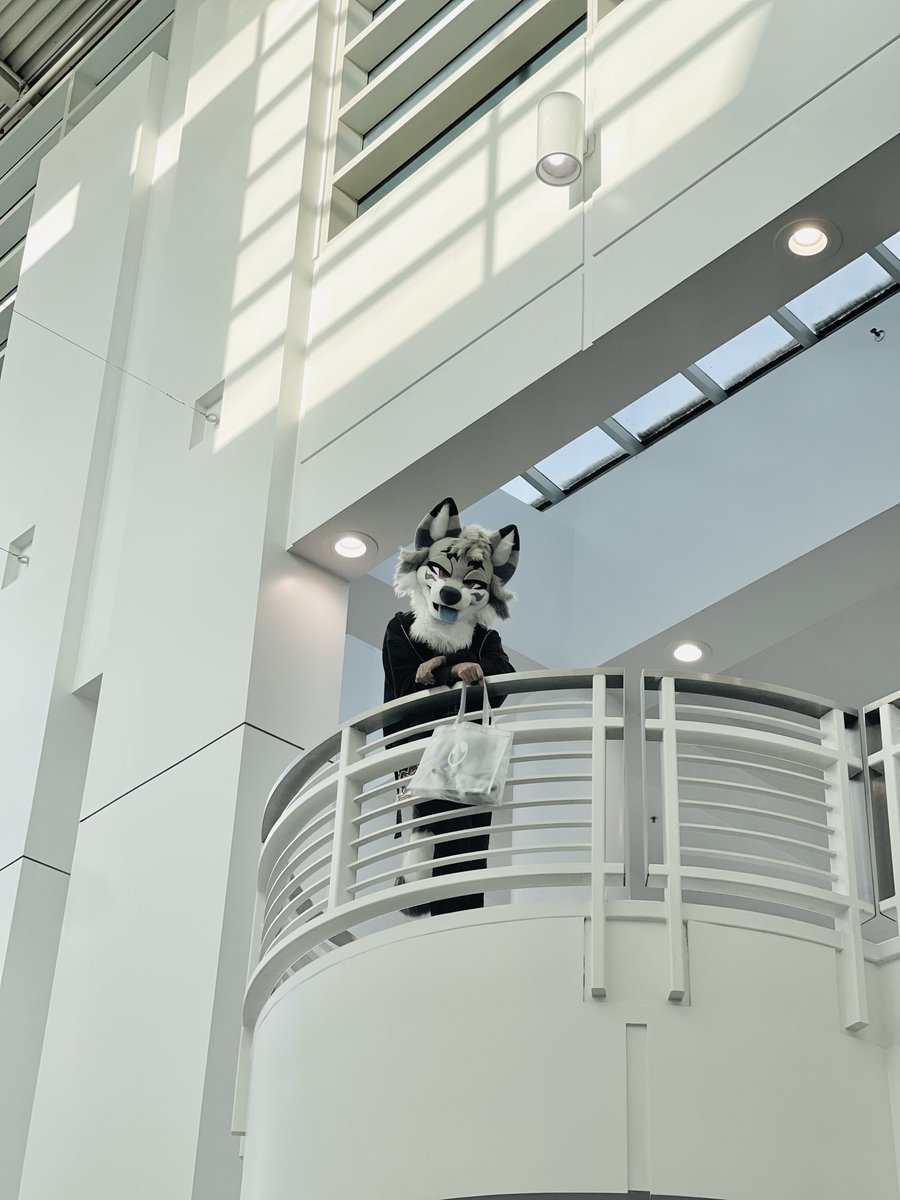 _Teruna's tweet photo. A vulpine enjoying the view.

Happy fursuit friday! https://t.co/tBMHUNmZEE