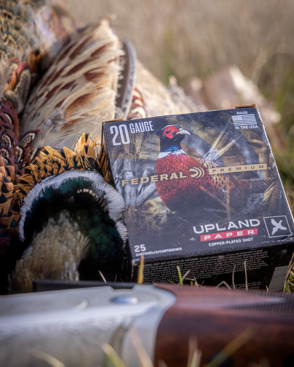 FederalPremium's tweet photo. From the first flush to the limit. Load up with Federal and own the fields this upland season.

#ItsFederalSeason https://t.co/tbfDacYzfw