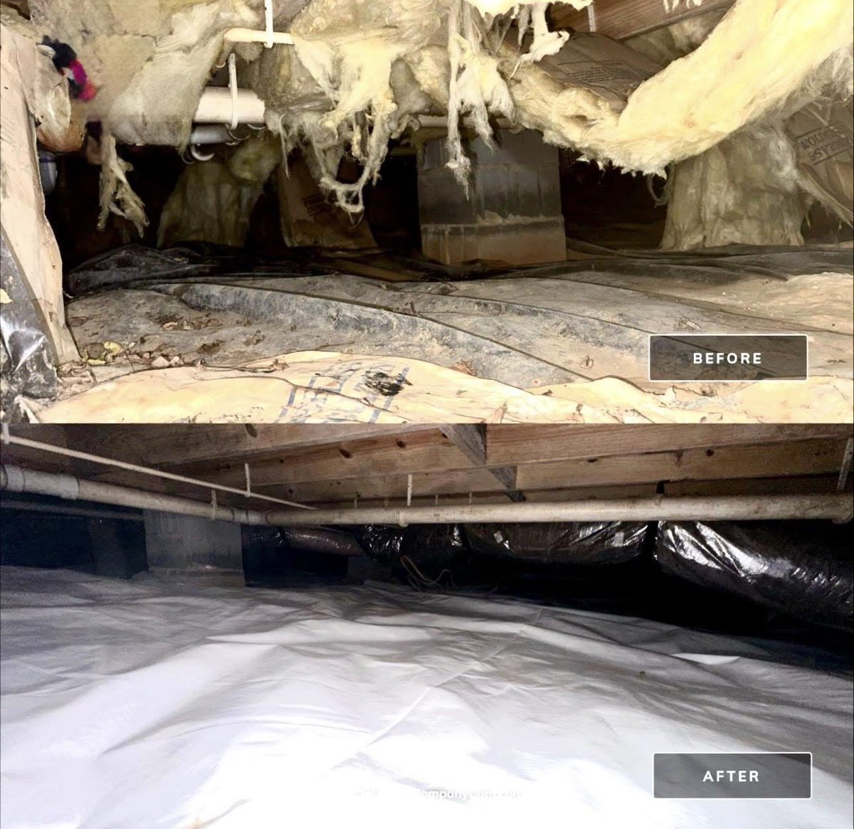 BowTiedBroke's tweet photo. My brother started his own pest control company after leaving Orkin. 30-40% of his revenue now is crawlspace encapsulation. 60% margins on them. Large (4,000 sq ft + ones takes roughly 1.5-2 days to complete). $15-$20K for a large one. Slaps a $200-$300 annual renewal on it to go back once per year to check the dehumidifier, tighten any loose poly, make sure everything looks tight, etc. This was a moisture reading in some floor joists and sub floor in a recent crawlspace he did.