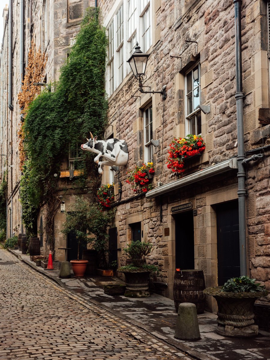 flower6260's tweet photo. Edinburgh, Scotland https://t.co/VvrlcorLNl