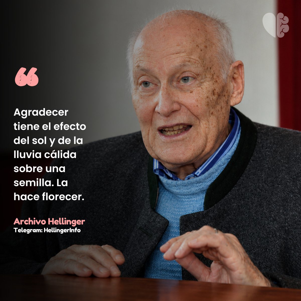 HellingerInfo's tweet photo. Agradecer cambia poco a poco la manera en que miramos nuestra vida. No significa pensar que todo ha sido perfecto, sino aprender a reconocer lo bueno que también existe, incluso en medio de los momentos difíciles. https://t.co/DPyYbwv6HY