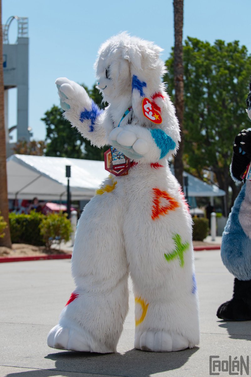 flopsicle24's tweet photo. Mint condition. Original tag. Do NOT remove. #FursuitFriday

📸: @CaolanTheStoat https://t.co/w4N1HDDdxn