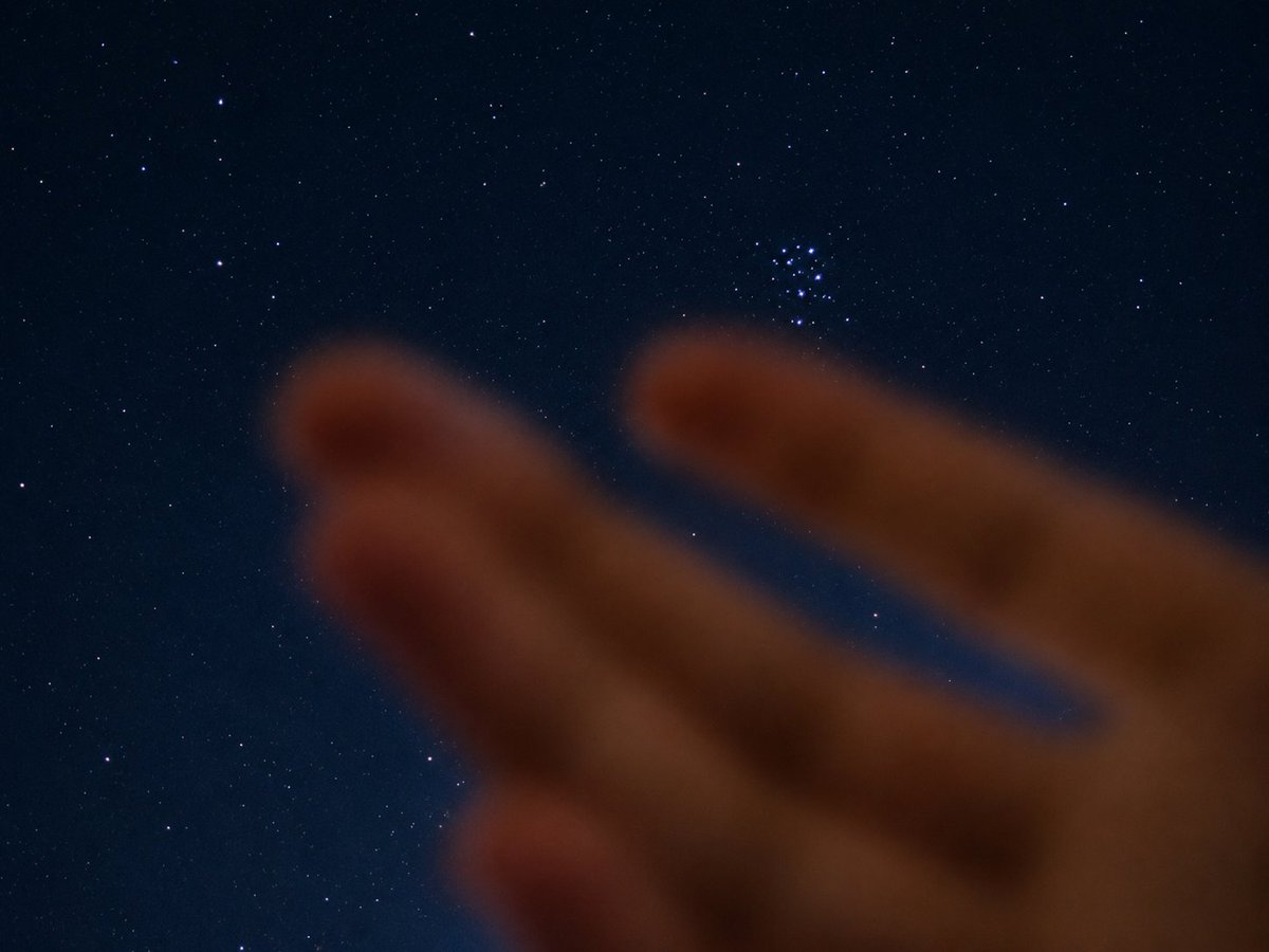 BlueAcc0unt's tweet photo. In focus, out of reach. ✨ https://t.co/J6MucSgybh