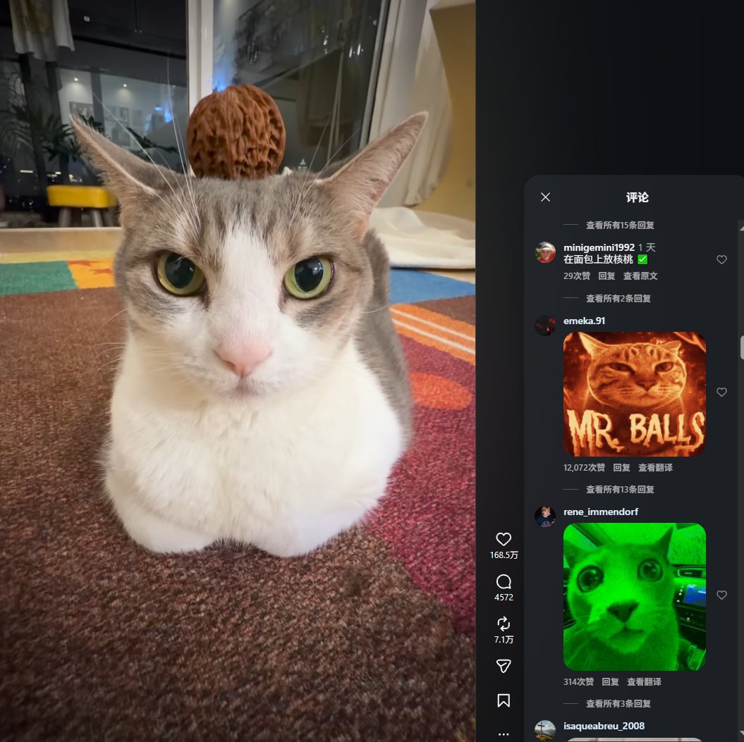 UnderDogXmm's tweet photo. 绝对顶级的猫meme！！！
昨天刚刚“赛博永生”的文玩小猫 Lulu，已经彻底爆了。
中外全网合力播放量冲上 3000w+，传播速度离谱，几乎一夜之间追上 哈基米、meimei 级别的猫猫知名度。
最夸张的是评论区——
已经没有正常评论了，全是各种二创表情包，一张原图直接繁殖出无数 Meme

直接看数据吧 太夸张了 十月份最火的猫咪meme出来了
还是中外一起爆火的，猫meme届新神 没理由不起飞
可以直接验证 没任何夸张成分
抖音：https://t.co/h8M66VrzcS
tiktok：https://t.co/ptyfGmppjZ
ins：https://t.co/V8lmpKa5NT