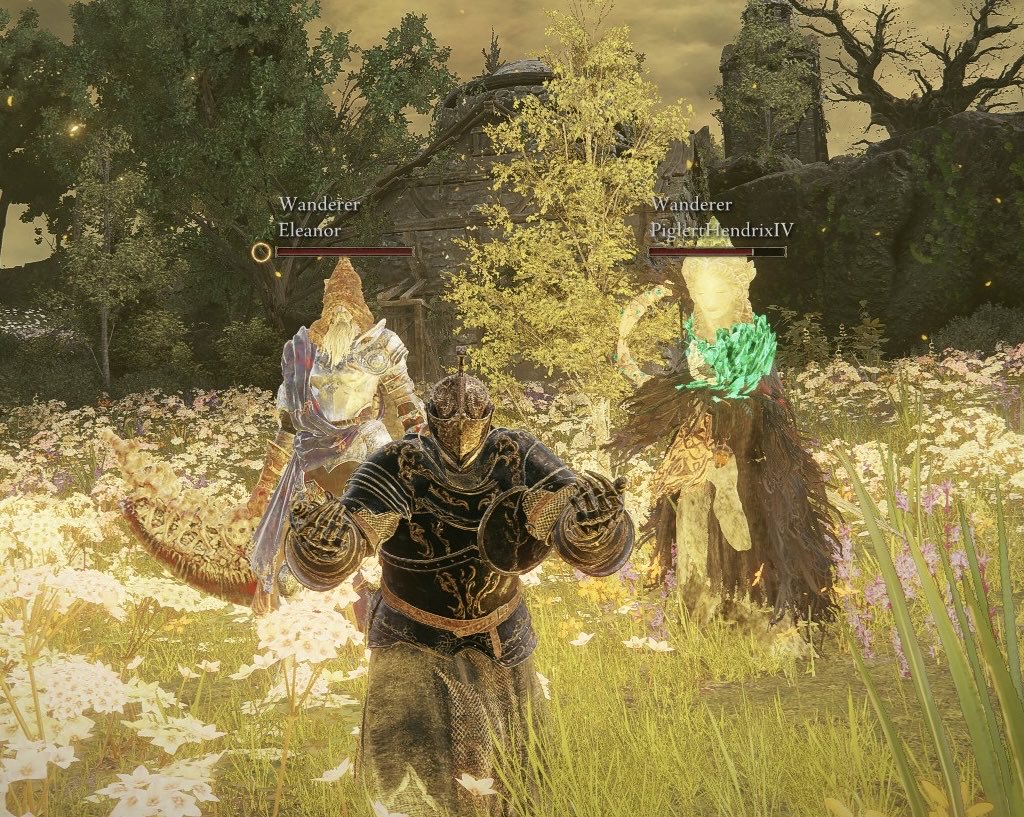 ChloMorag's tweet photo. Replaying the Elden Ring DLC with friends and man, the Shaman Village still hits hard! https://t.co/g1bSwl5ShC