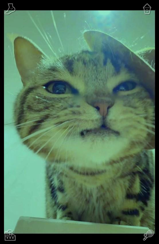 atikahsamsul's tweet photo. ☠Blueberry Jam The jam is thick614529Cat plays with ribbon https://t.co/arQmVojJrO