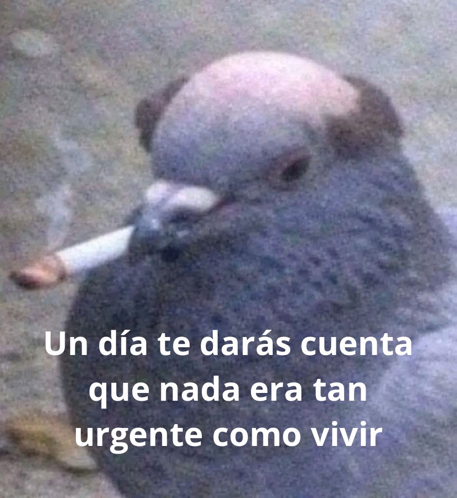 conoloracigarro's tweet photo. https://t.co/YMzD5bhiyc