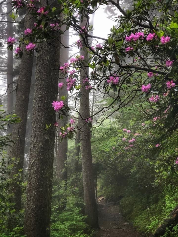 aestheticpost's tweet photo. https://t.co/Z9JWtQxKZM