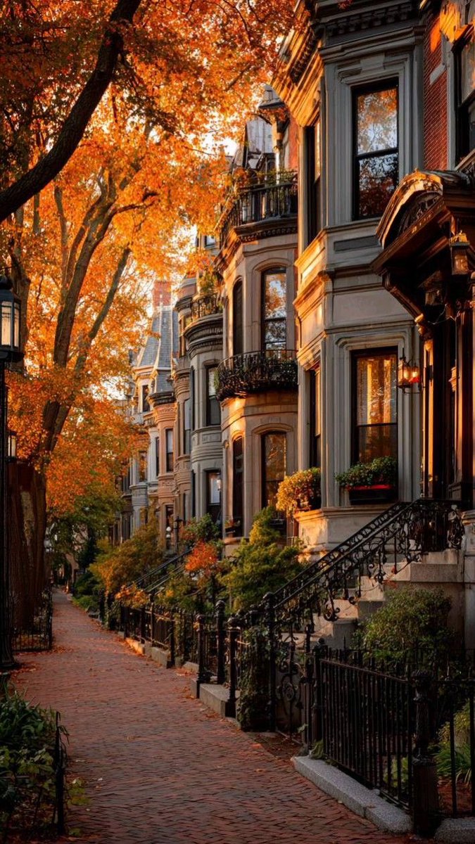 moraimauy's tweet photo. Bonito Atardecer 
En #Brooklyn 🌇 https://t.co/p3KHTE90jL